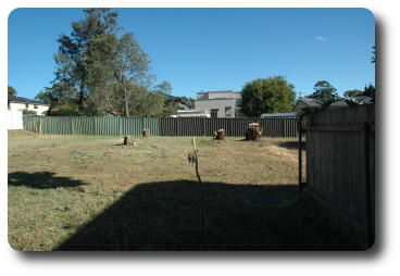 Looking west from eastern end of northern fence