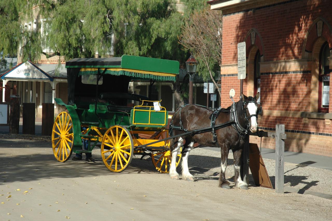Horse drawn coach, green with yellow wheels and single horse, waiting for tourists