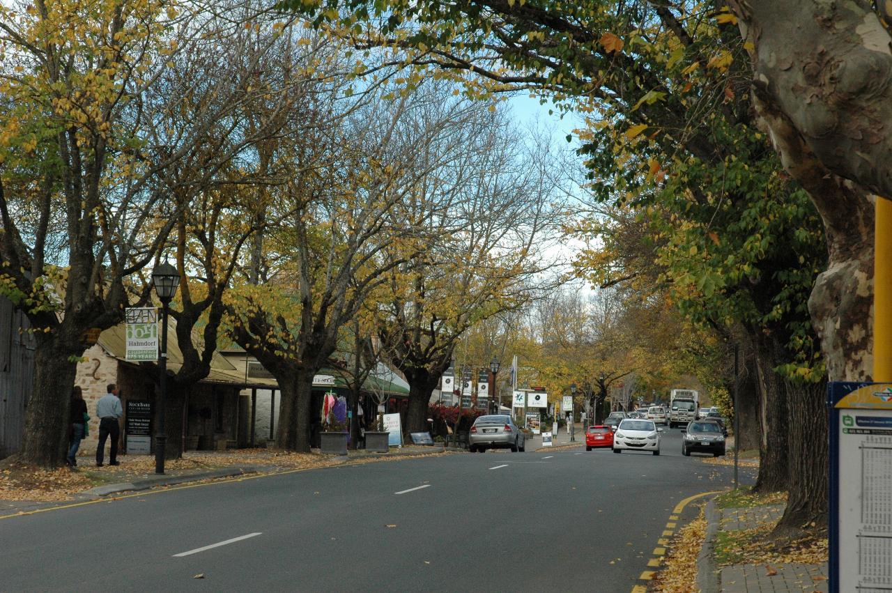 Two lane street, with old trees with some autumn leaves remaining, and old style shops
