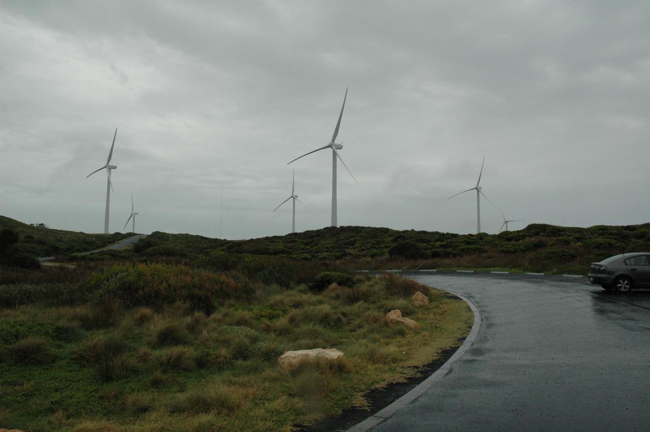 Part of wet car park, low shrubs and several wind turbines