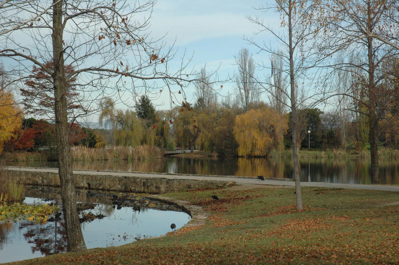 Autumn colours in park with ponds and walkway between, sky and trees reflected in water