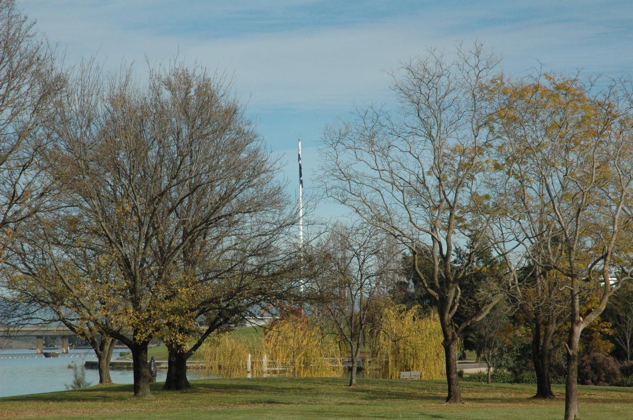 Tall flag pole, flag limp, behind trees in varying loss of leaves, and lake behind