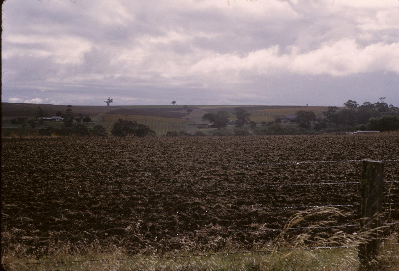 Ploughed fields leading to distant hill with grape vines