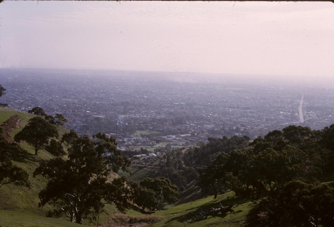 View over smoggy city from hill with grassy slopes and trees
