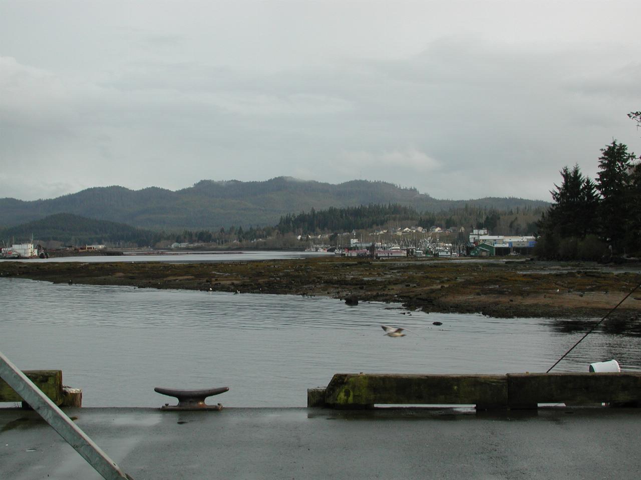 View up river from landing dock at Port Hardy, showing fuel dock too