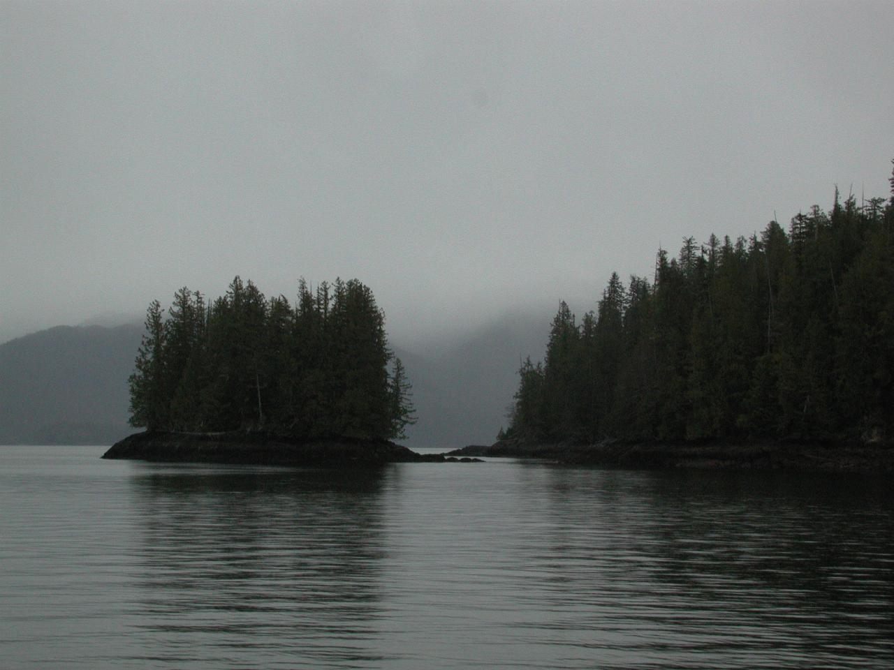 Tree covered island on Behm Canal near New Eddystone Rock, Alaska