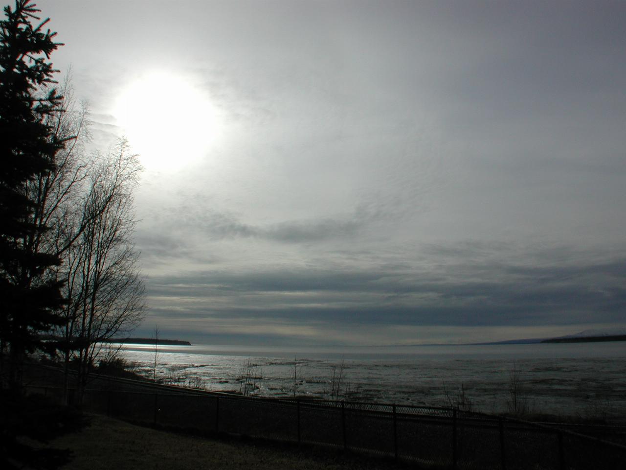 Calm waters of Cook Inlet viewed from coastal walking trail