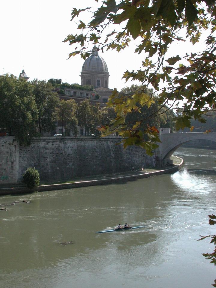 Rowers on the Tiber and general city view