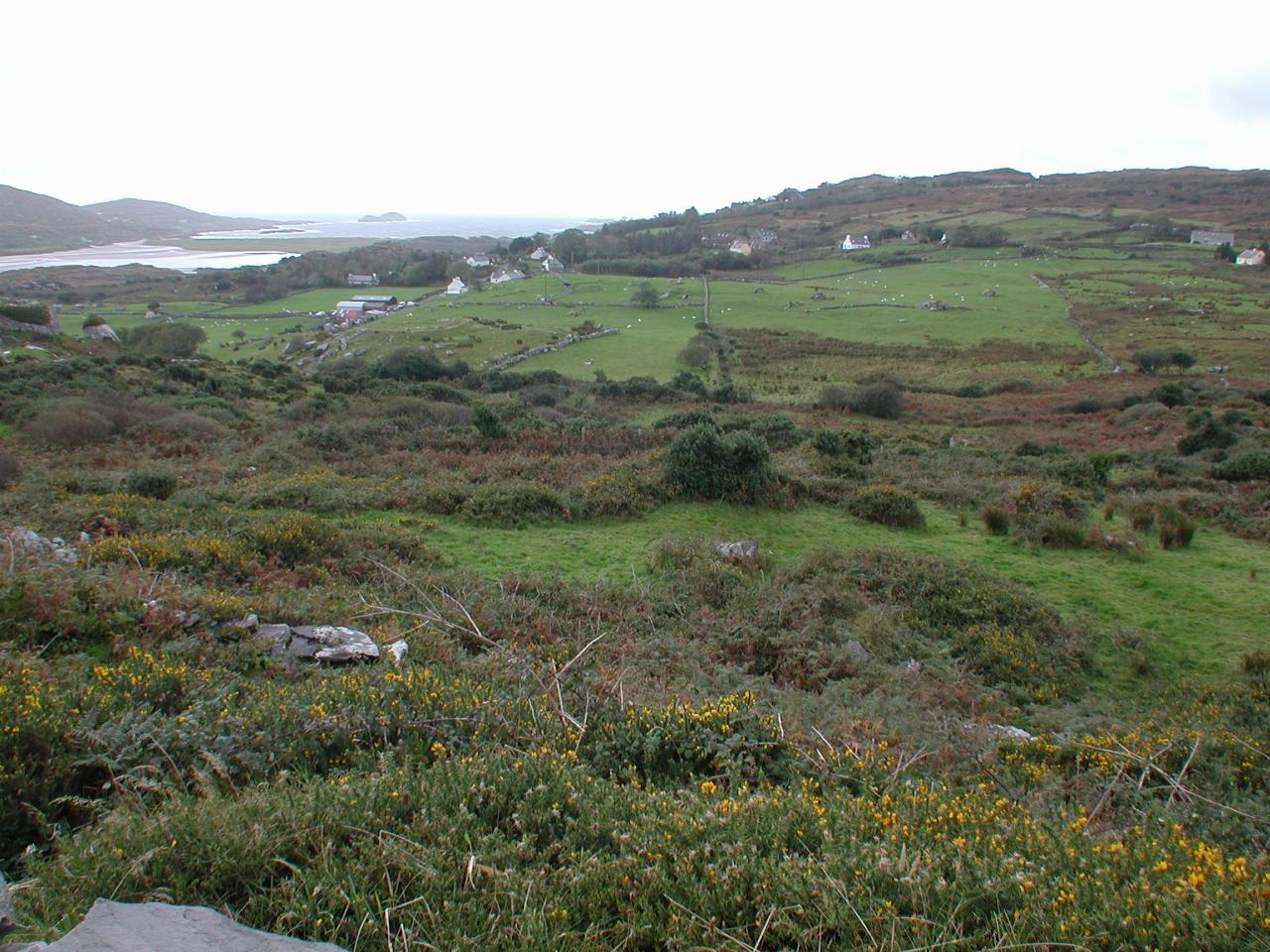 Near Caherdaniel, Ring of Kerry