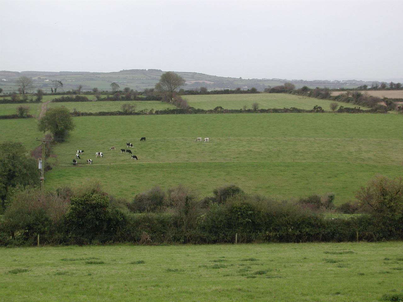 Approaching Tallow & Knockmealdown Mtns