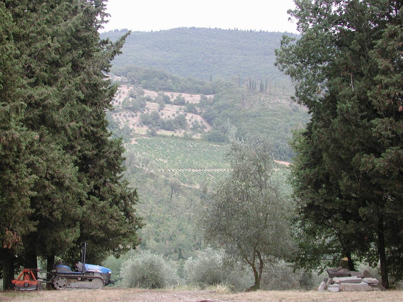 Looking across the valley from Castello del Trebbio to vineyards