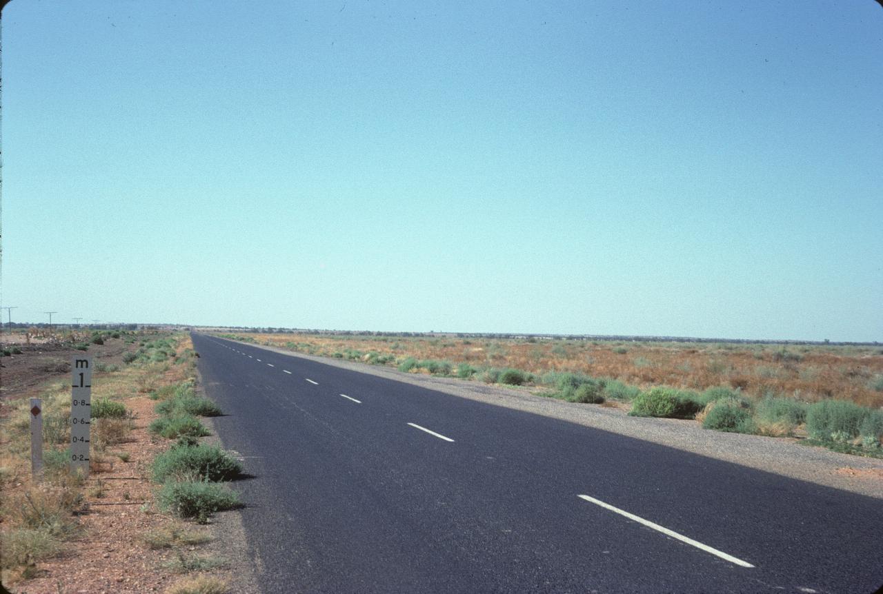 Road leading to horizon in flat country with reddish soil and low vegetation