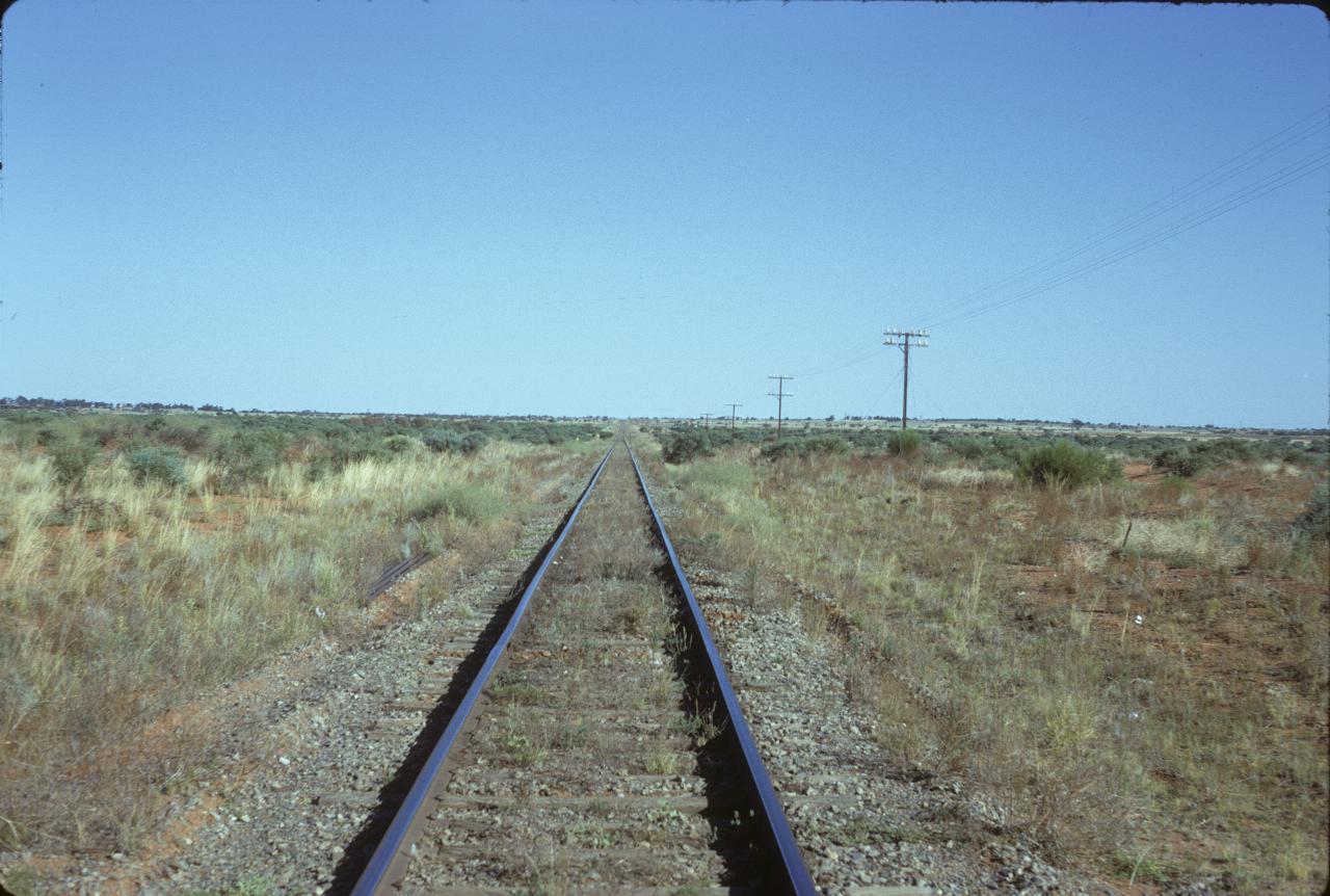 Single track rail line disappearing in the distance; low scrub on sides