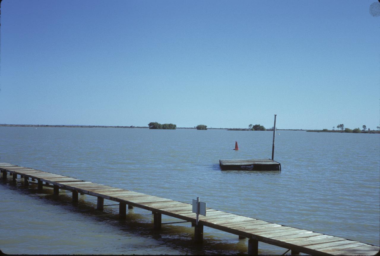 Low wharf and pontoon on lake with distant shrubs