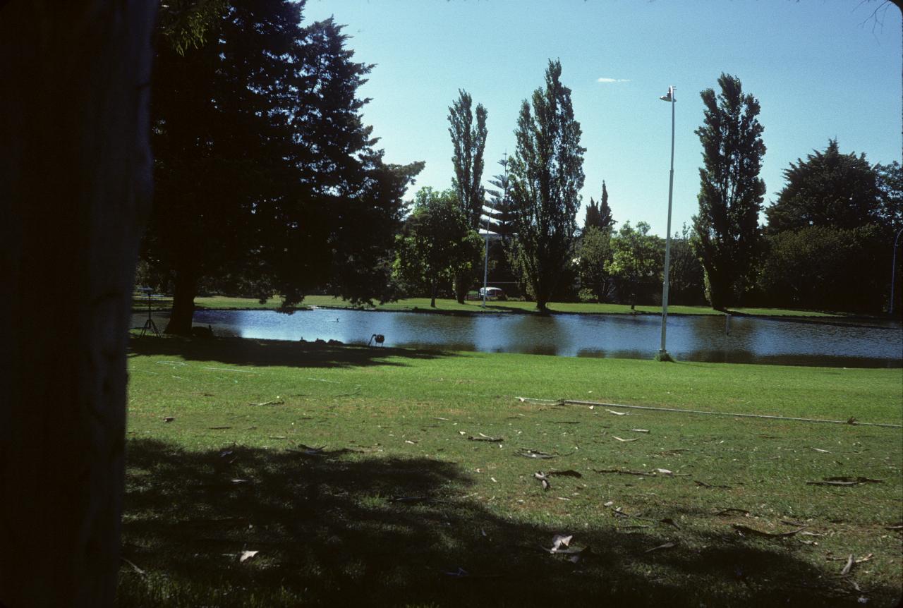 Grassy area with trees around small lake