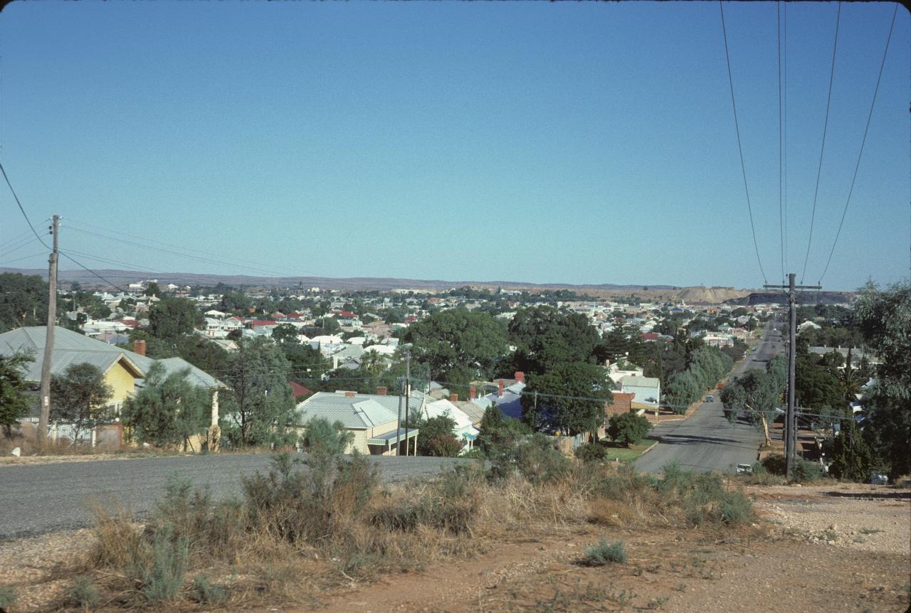 View from hill over houses and trees to mines and country beyond