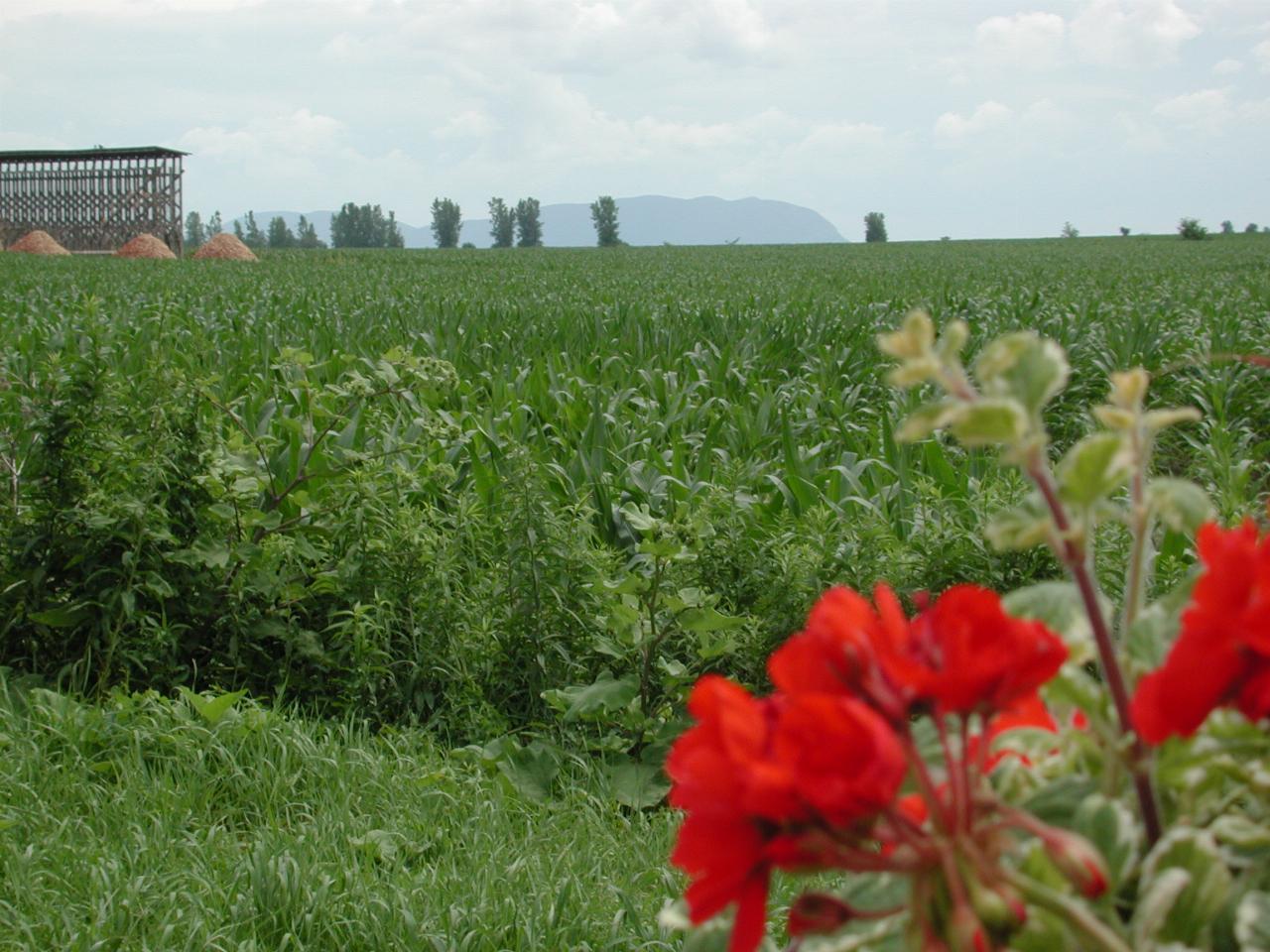 One of the mountains as seen from 