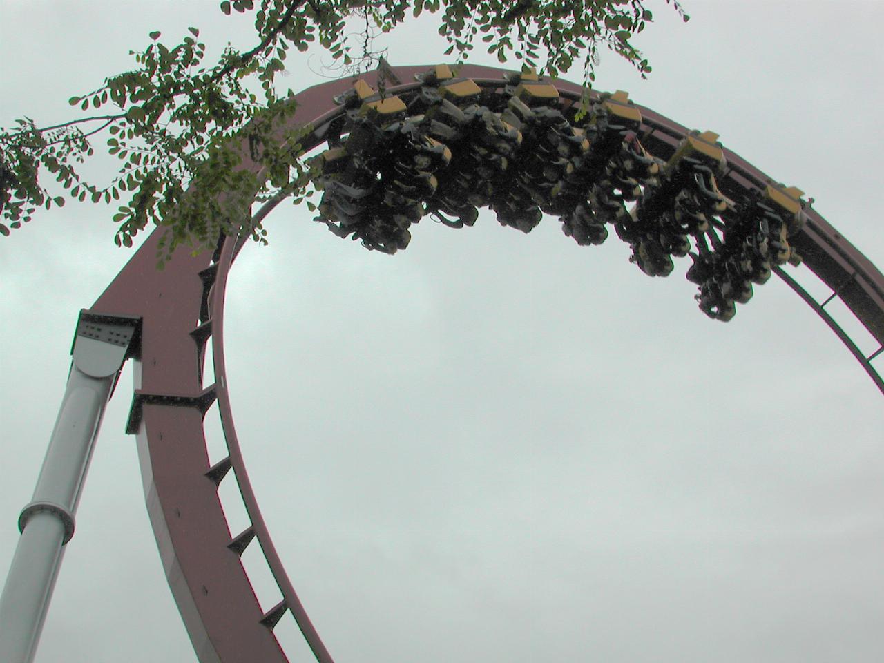 KPLU Viking Jazz: Roller coaster in action at Tivoli Gardens