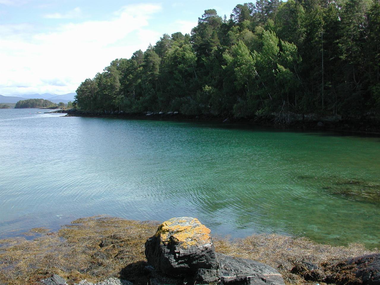 KPLU Viking Jazz: Clear water in the little inlet behind the 