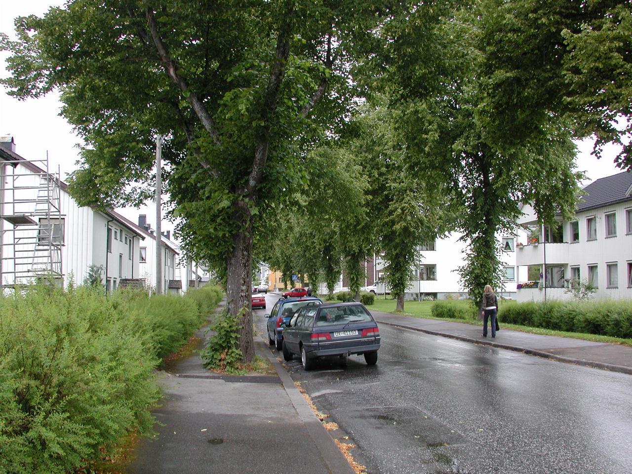 KPLU Viking Jazz: Attractive residential street in Molde