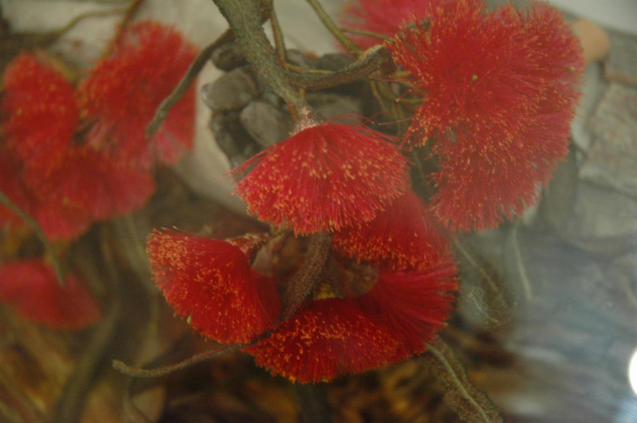 Man made twig with red flowers