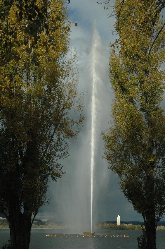 200m high water jet seen between poplar trees in autumn colours