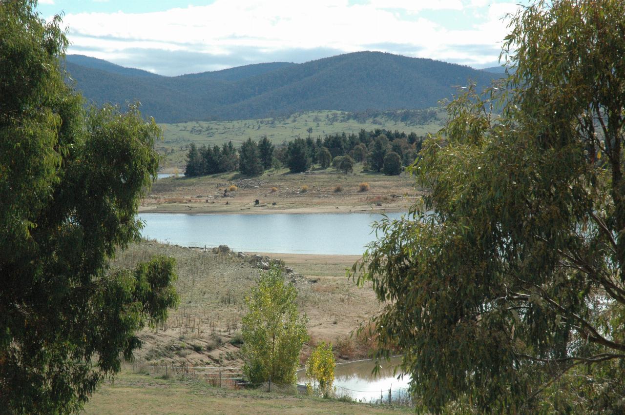 View between trees to lake and island with barren shores due to low water level