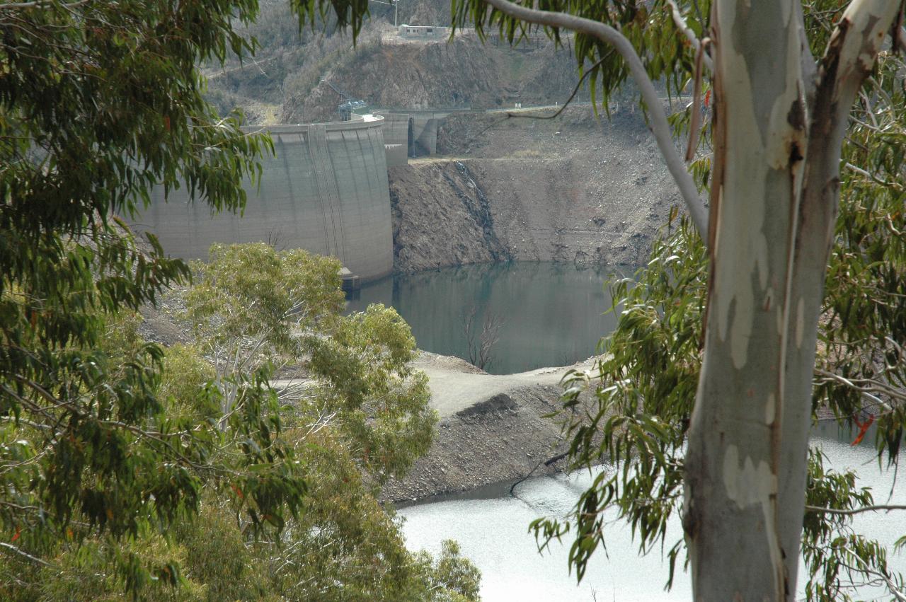 Dam wall visible through trees