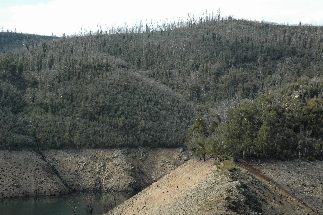 Ridge on north bank of dam